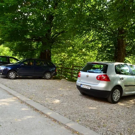 Guest house Boracko 3*