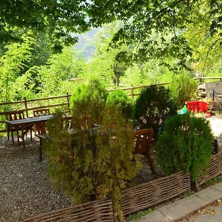 Guest house Boracko